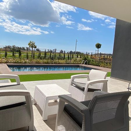 Sunset Gardens - Holiday Apartments - By Tlv Living Limassol Exteriör bild